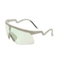 ALBA-DeltaDSTVzumCLSFlense3