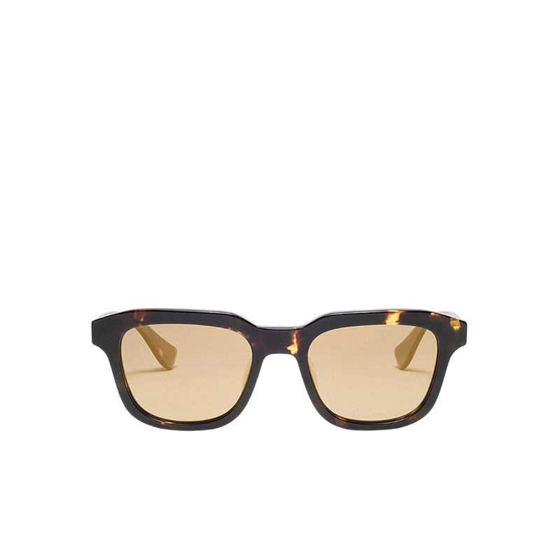 ARTICLEONE_Avalon_Tortoise w/Polarized Gold Lens_Front