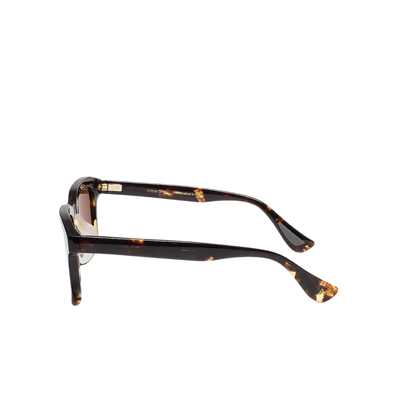 ARTICLEONE_Avalon_Tortoise w/Polarized Gold Lens_Side