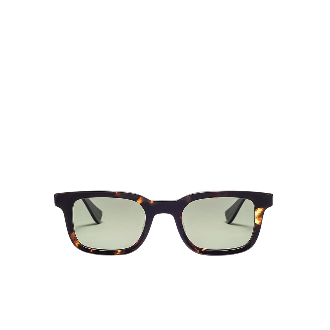 ARTICLEONE_HANLEY_Tortoise w/Polarized Green Lenses_Front1