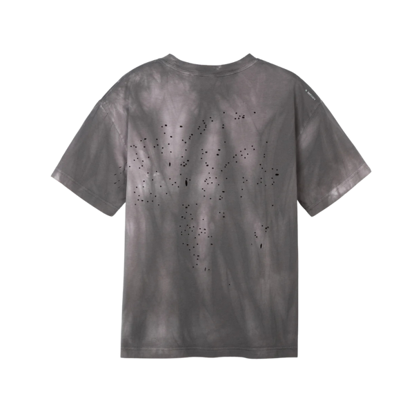 MothTechT-ShirtSunBleachedShark2