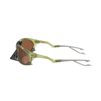 PlantarisprizmtungstenLenses_mattetransparentfernFrame2