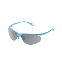 RIDARBUDDCLOUDSKYR_PALEGRAYSILVERMIRROR2