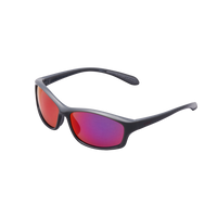 RIDARJOGSPACEGRAYR_REVOMULTIMIRRORINDIGOPOLARIZED2