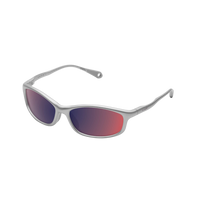 RIDARRADIUNIVERSALSILVERR_REVOMULTIMIRRORBLAST2