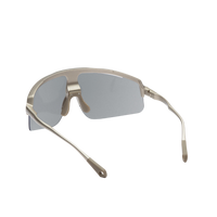 RIDARSAVANNAUNIVERSALGOLDR_PALEGRAYSILVERMIRROR4