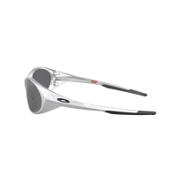 SilverPrizmBlackpolarized2