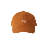 Apricot Orange
