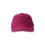 Raspberry